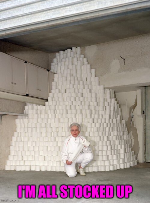 mountain of toilet paper | I'M ALL STOCKED UP | image tagged in mountain of toilet paper | made w/ Imgflip meme maker