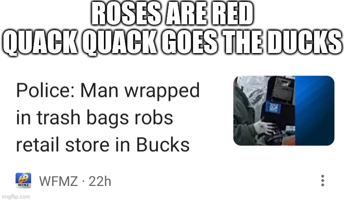 ROSES ARE RED
QUACK QUACK GOES THE DUCKS | image tagged in roses are red | made w/ Imgflip meme maker