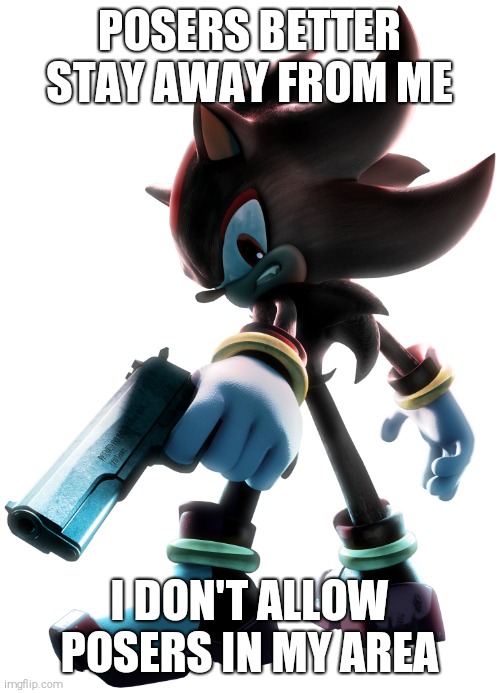 Shadow the Hedgehog | POSERS BETTER STAY AWAY FROM ME; I DON'T ALLOW POSERS IN MY AREA | image tagged in shadow the hedgehog | made w/ Imgflip meme maker