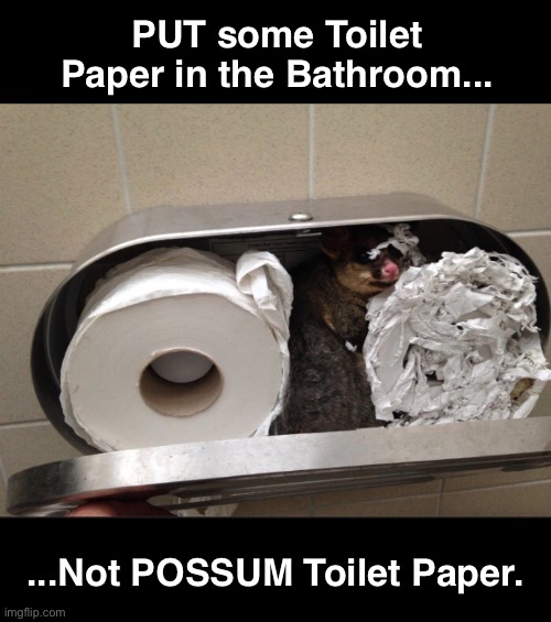 We Might Need to Work On Our Communication | PUT some Toilet Paper in the Bathroom... ...Not POSSUM Toilet Paper. | image tagged in funny memes,misunderstanding,possum,toilet paper | made w/ Imgflip meme maker