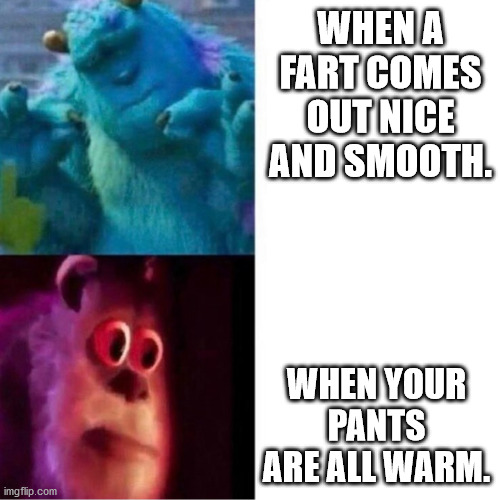Monsters Inc |  WHEN A FART COMES OUT NICE AND SMOOTH. WHEN YOUR PANTS ARE ALL WARM. | image tagged in monsters inc | made w/ Imgflip meme maker