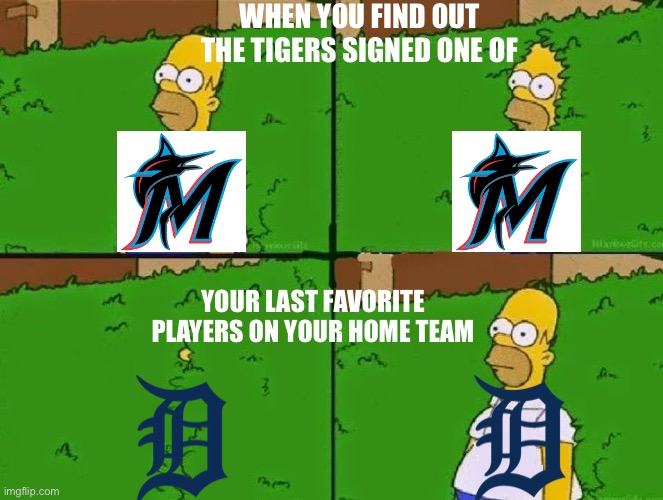 Baseball Problems | WHEN YOU FIND OUT THE TIGERS SIGNED ONE OF; YOUR LAST FAVORITE PLAYERS ON YOUR HOME TEAM | image tagged in homer bush,major league baseball,baseball,miami marlins,detroit tigers | made w/ Imgflip meme maker