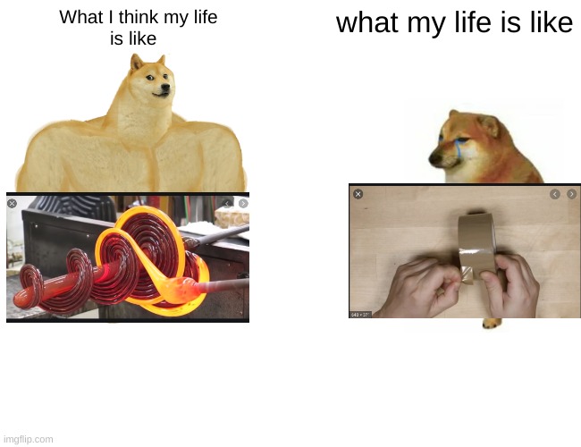 Comment down if this relates and leave an Upvote | What I think my life
is like; what my life is like | image tagged in memes,buff doge vs cheems,satisfiedvsunsatisfied | made w/ Imgflip meme maker