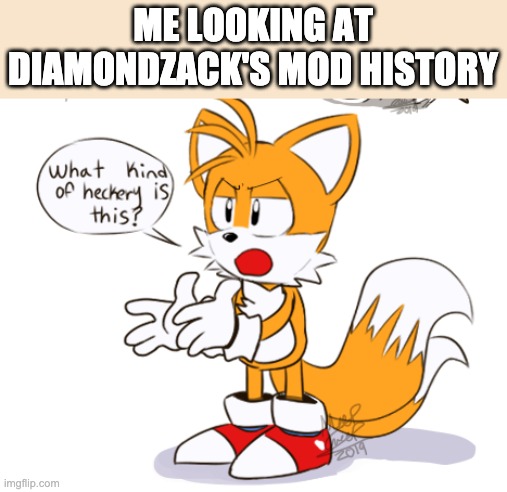 That wasn't even spam tf man | ME LOOKING AT DIAMONDZACK'S MOD HISTORY | image tagged in what kind of heckery is this | made w/ Imgflip meme maker