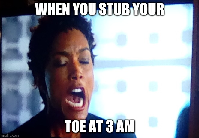 Mmmmmm This Is Exactly True | WHEN YOU STUB YOUR; TOE AT 3 AM | image tagged in stupid,madebyaidiot | made w/ Imgflip meme maker