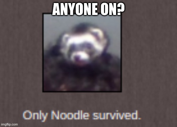 only noodle survived | ANYONE ON? | image tagged in only noodle survived | made w/ Imgflip meme maker