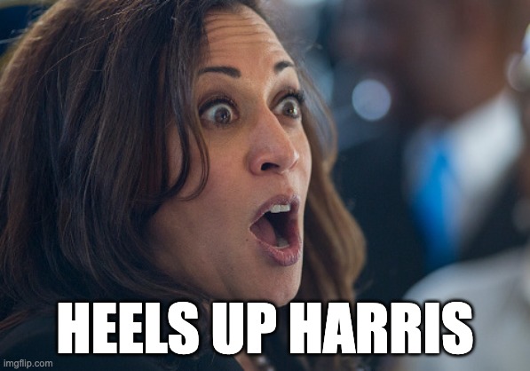 Meme 'Pohon Kelapa' Kamala Harris itu Organic, Tangani dengan Hati-hati