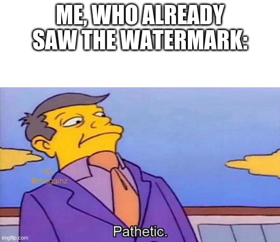 Pathetic | ME, WHO ALREADY SAW THE WATERMARK: | image tagged in pathetic | made w/ Imgflip meme maker