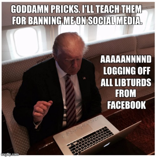 image tagged in social media,facebook,log out,current events,trump,banned | made w/ Imgflip meme maker