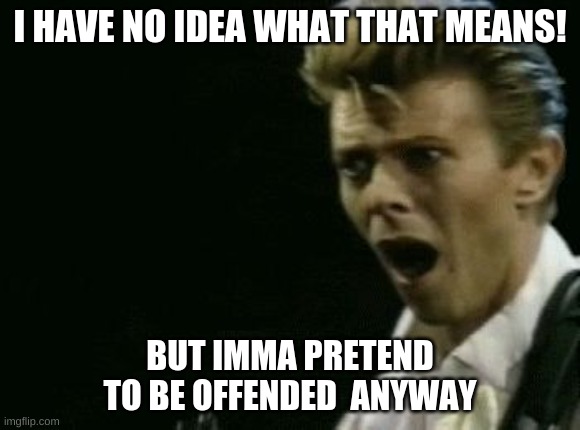 Offended David Bowie | I HAVE NO IDEA WHAT THAT MEANS! BUT IMMA PRETEND TO BE OFFENDED  ANYWAY | image tagged in offended david bowie | made w/ Imgflip meme maker