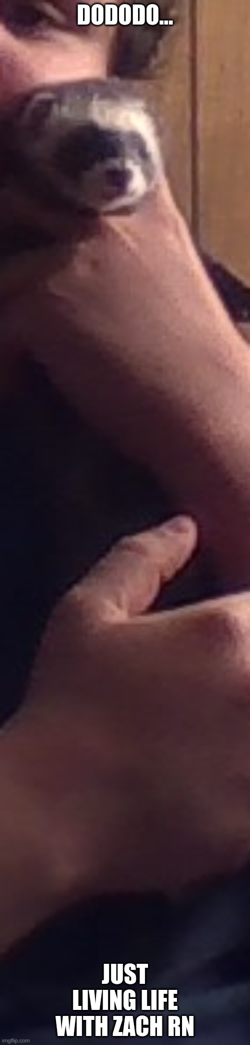 this was a dare | DODODO... JUST LIVING LIFE WITH ZACH RN | made w/ Imgflip meme maker