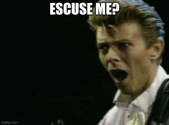 Offended David Bowie | EXCUSE ME? | image tagged in offended david bowie | made w/ Imgflip meme maker
