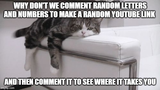 Bored cat | WHY DON'T WE COMMENT RANDOM LETTERS AND NUMBERS TO MAKE A RANDOM YOUTUBE LINK; AND THEN COMMENT IT TO SEE WHERE IT TAKES YOU | image tagged in bored cat | made w/ Imgflip meme maker