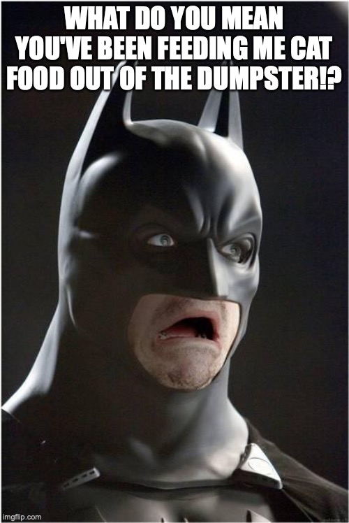 Batman Scared | WHAT DO YOU MEAN YOU'VE BEEN FEEDING ME CAT FOOD OUT OF THE DUMPSTER!? | image tagged in batman scared | made w/ Imgflip meme maker