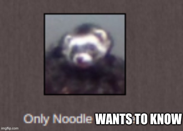 only noodle survived | WANTS TO KNOW | image tagged in only noodle survived | made w/ Imgflip meme maker