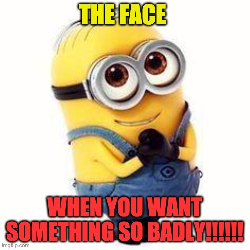 The Face.... | THE FACE; WHEN YOU WANT SOMETHING SO BADLY!!!!!! | image tagged in minions | made w/ Imgflip meme maker