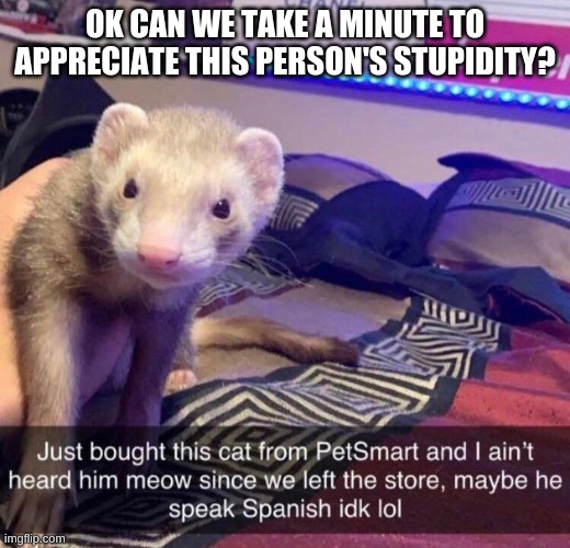 im dying of laughter irl | OK CAN WE TAKE A MINUTE TO APPRECIATE THIS PERSON'S STUPIDITY? | made w/ Imgflip meme maker