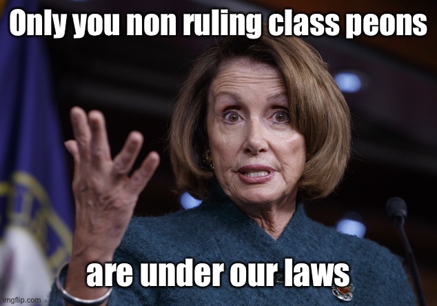 Good old Nancy Pelosi | Only you non ruling class peons are under our laws | image tagged in good old nancy pelosi | made w/ Imgflip meme maker