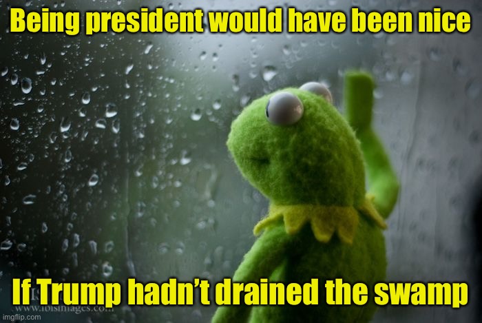 Why Kermit won’t run for political office in DC | Being president would have been nice; If Trump hadn’t drained the swamp | image tagged in kermit window,drain the swamp | made w/ Imgflip meme maker