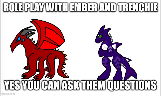 white background | ROLE PLAY WITH EMBER AND TRENCHIE; YES YOU CAN ASK THEM QUESTIONS | image tagged in white background | made w/ Imgflip meme maker