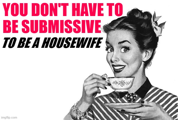 You Don't Have to be Submissive | YOU DON'T HAVE TO
BE SUBMISSIVE; TO BE A HOUSEWIFE | image tagged in 1950s housewife,sassy,so true memes,marriage,life lessons,funny memes | made w/ Imgflip meme maker