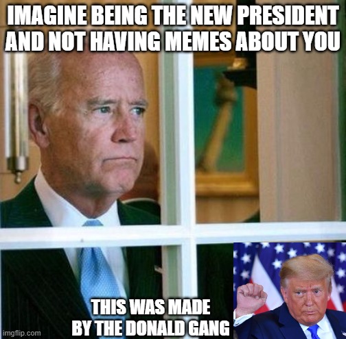 Sad Joe Biden | IMAGINE BEING THE NEW PRESIDENT AND NOT HAVING MEMES ABOUT YOU; THIS WAS MADE BY THE DONALD GANG | image tagged in sad joe biden | made w/ Imgflip meme maker