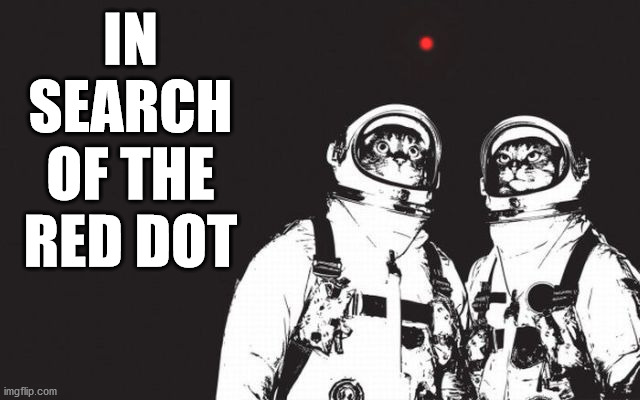 . IN SEARCH OF THE RED DOT | image tagged in cats | made w/ Imgflip meme maker