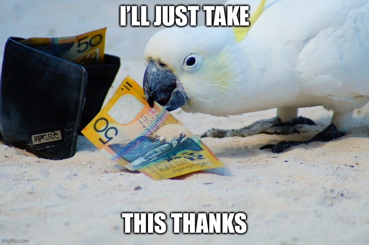 The cheeky cockatoo | I’LL JUST TAKE; THIS THANKS | image tagged in cockatoo | made w/ Imgflip meme maker