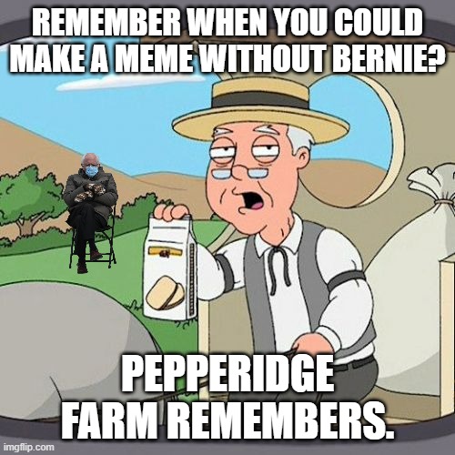 How long will it go on? | REMEMBER WHEN YOU COULD MAKE A MEME WITHOUT BERNIE? PEPPERIDGE FARM REMEMBERS. | image tagged in memes,pepperidge farm remembers,bernie sitting | made w/ Imgflip meme maker