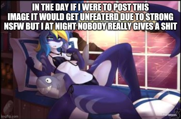 Shark furry | IN THE DAY IF I WERE TO POST THIS IMAGE IT WOULD GET UNFEATERD DUE TO STRONG NSFW BUT I AT NIGHT NOBODY REALLY GIVES A SHIT | image tagged in shark furry | made w/ Imgflip meme maker