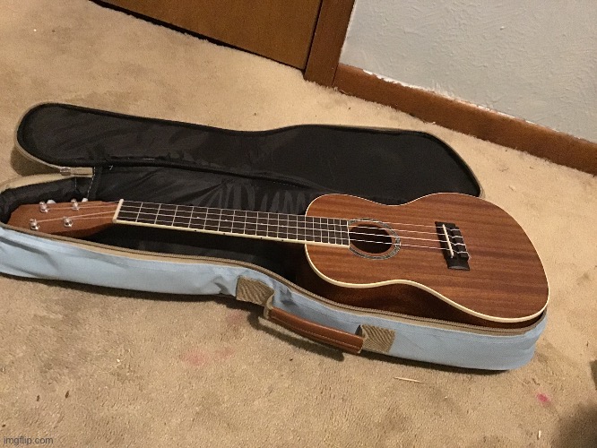 Because yus | image tagged in ukulele | made w/ Imgflip meme maker