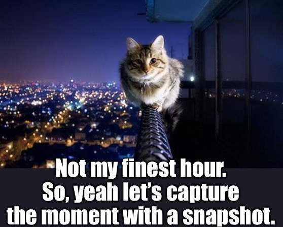 How’s My Hair? | Not my finest hour. So, yeah let’s capture the moment with a snapshot. | image tagged in funny cat memes,on the edge,nine lives | made w/ Imgflip meme maker
