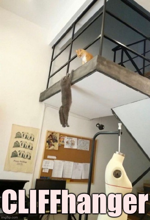 Living On the Edge | CLIFFhanger | image tagged in funny cat memes,all that ends well | made w/ Imgflip meme maker