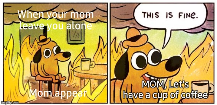 This Is Fine | When your mom leave you alone; Mom appear; MOM, Let's have a cup of coffee | image tagged in memes,coffee,home alone,fireworks | made w/ Imgflip meme maker