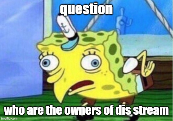 Mocking Spongebob | question; who are the owners of dis stream | image tagged in memes,mocking spongebob | made w/ Imgflip meme maker