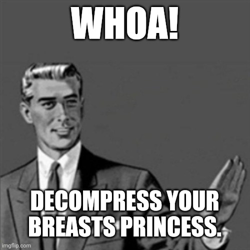 Whoa | WHOA! DECOMPRESS YOUR BREASTS PRINCESS. | image tagged in correction guy | made w/ Imgflip meme maker