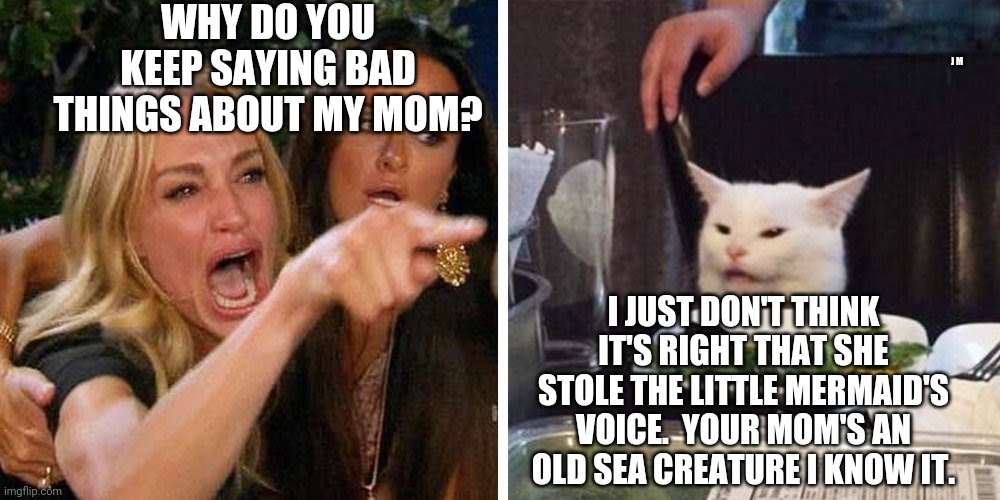 Smudge the cat | WHY DO YOU KEEP SAYING BAD THINGS ABOUT MY MOM? J M; I JUST DON'T THINK IT'S RIGHT THAT SHE STOLE THE LITTLE MERMAID'S VOICE.  YOUR MOM'S AN OLD SEA CREATURE I KNOW IT. | image tagged in smudge the cat | made w/ Imgflip meme maker