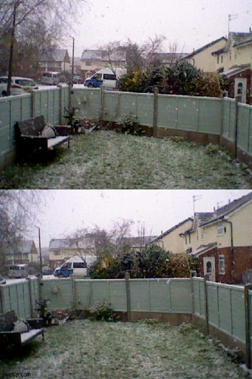 its snowing again XD my cat geoff is very weirded out | made w/ Imgflip meme maker