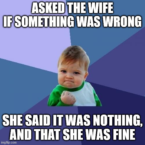 So I guess I can go to the local tonight with the boys | ASKED THE WIFE IF SOMETHING WAS WRONG; SHE SAID IT WAS NOTHING, AND THAT SHE WAS FINE | image tagged in memes,success kid | made w/ Imgflip meme maker