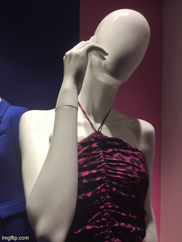 Elbow Grease | image tagged in gifs,fashion,alice and olivia,window design,saks fifth avenue,elbow grease | made w/ Imgflip images-to-gif maker
