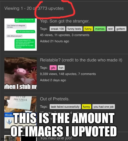 3773 upvotes! | THIS IS THE AMOUNT OF IMAGES I UPVOTED | image tagged in blaziken_650s | made w/ Imgflip meme maker