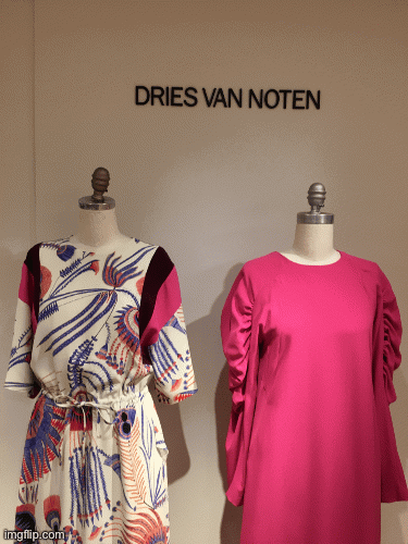 Dries Van Bunny | image tagged in gifs,fashion,dries van noten,bergdorf goodman,bunny,cartoon called life | made w/ Imgflip images-to-gif maker