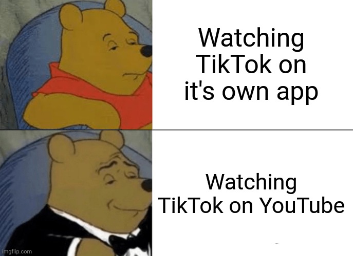 Tuxedo Winnie The Pooh | Watching TikTok on it's own app; Watching TikTok on YouTube | image tagged in memes,tuxedo winnie the pooh | made w/ Imgflip meme maker