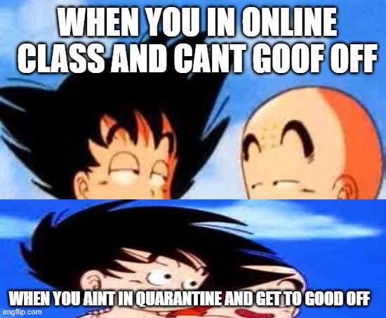 this is 2021 in a nutshell | WHEN YOU IN ONLINE CLASS AND CANT GOOF OFF; WHEN YOU AINT IN QUARANTINE AND GET TO GOOD OFF | image tagged in kid goku,kid krillin,school | made w/ Imgflip meme maker