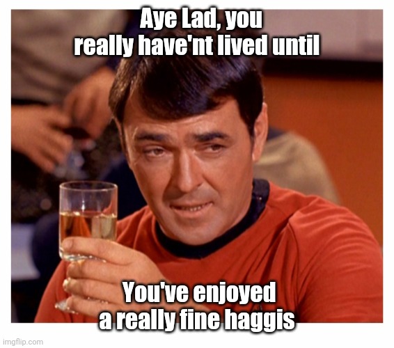 Aye Lad, you really have'nt lived until You've enjoyed a really fine haggis | made w/ Imgflip meme maker