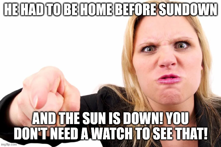 Offended woman | HE HAD TO BE HOME BEFORE SUNDOWN AND THE SUN IS DOWN! YOU DON'T NEED A WATCH TO SEE THAT! | image tagged in offended woman | made w/ Imgflip meme maker