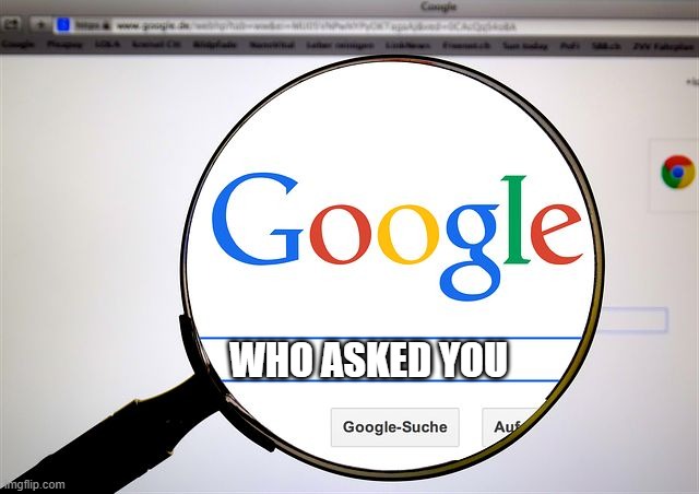 Google search | WHO ASKED YOU | image tagged in google search | made w/ Imgflip meme maker