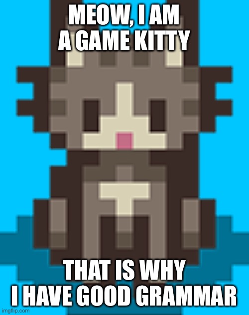 Stardew Valley Cat | MEOW, I AM A GAME KITTY; THAT IS WHY I HAVE GOOD GRAMMAR | image tagged in cats | made w/ Imgflip meme maker