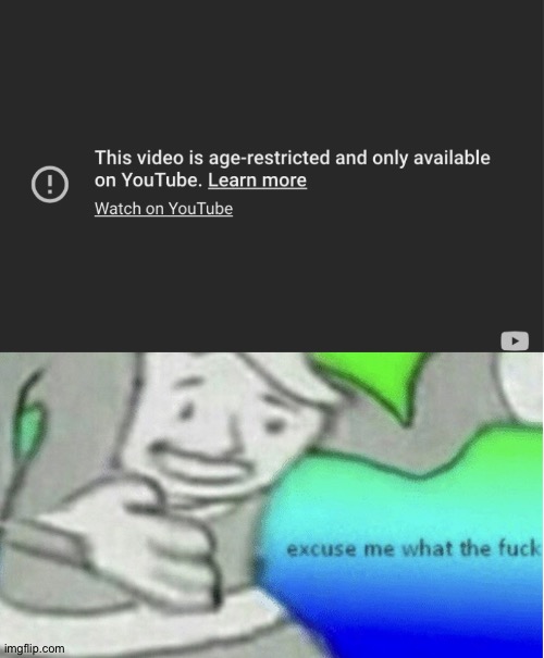 Godamn it YouTube! You had one job! | image tagged in excuse me what the f ck | made w/ Imgflip meme maker