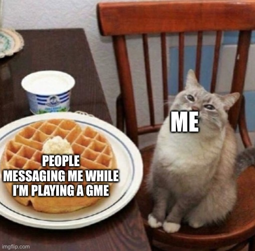 Cat likes their waffle | ME; PEOPLE MESSAGING ME WHILE I’M PLAYING A GAME | image tagged in cat likes their waffle | made w/ Imgflip meme maker